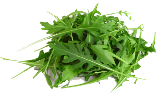 Image de roquette