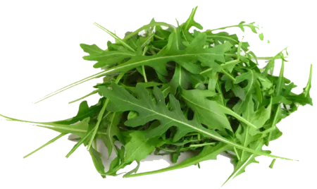 Roquette