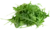 roquette
