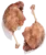 confit de canard