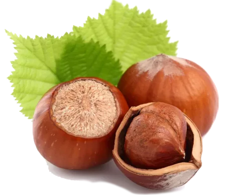 Noisettes