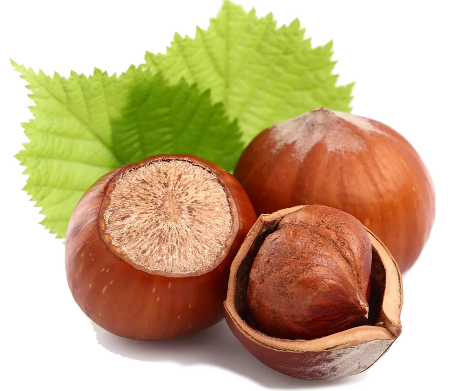 Les noisettes en cuisine : saison, diététique et préparation Les noisettes en cuisine : saison, diététique et préparation