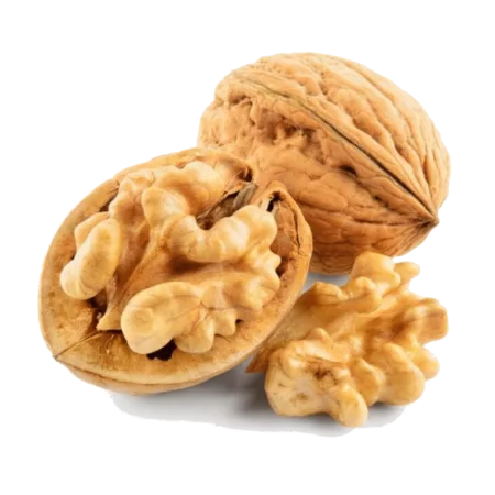 Noix