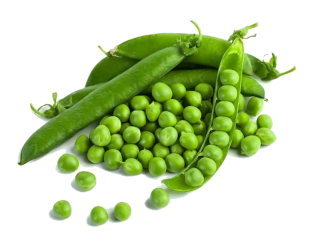 Le petit pois en cuisine : saison, diététique et préparation