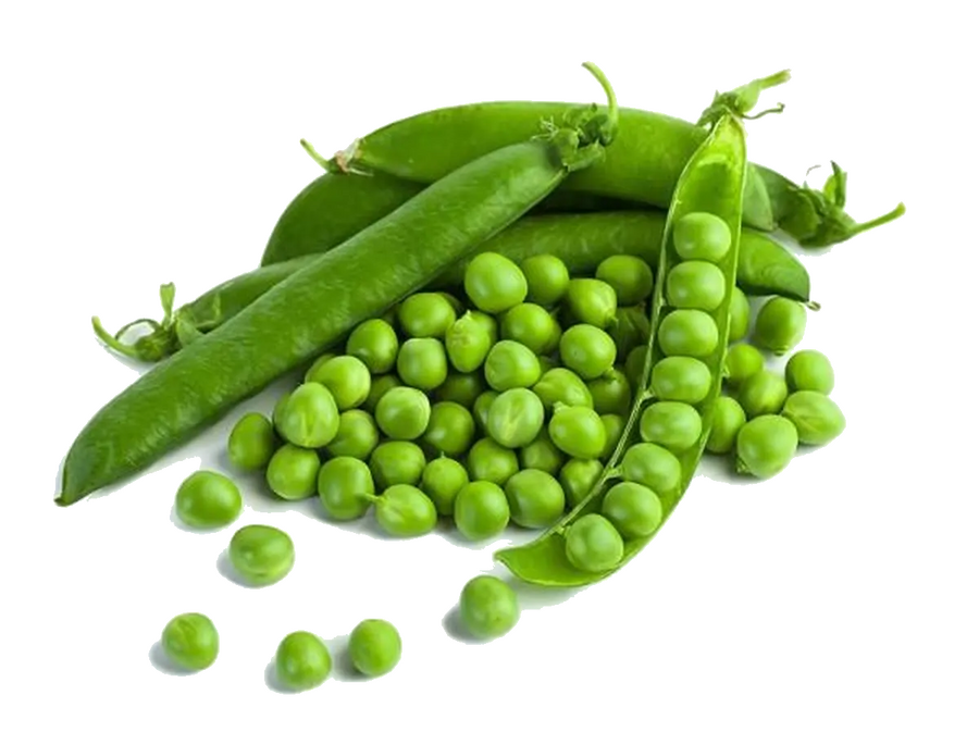 Le petit pois en cuisine : saison, diététique et préparation Le petit pois en cuisine : saison, diététique et préparation