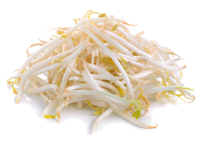 Les germes de soja en cuisine : saison, diététique et préparation
