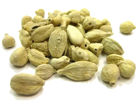 Cardamome