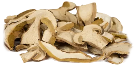 Cèpes séchés