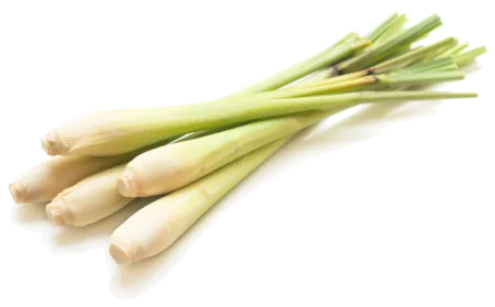 Citronnelle