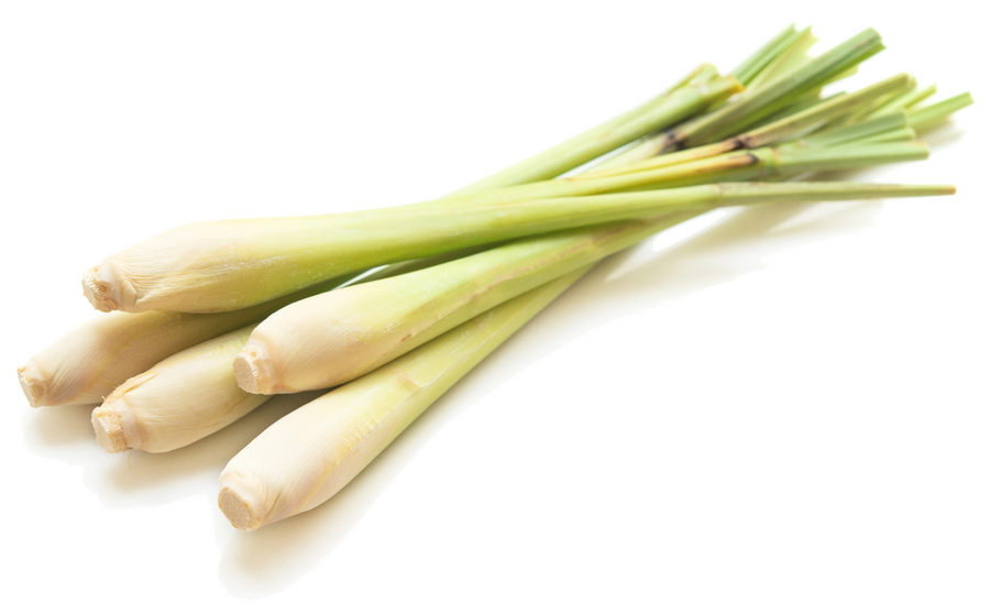 La citronnelle en cuisine : origines, diététique et préparation