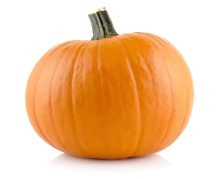 Citrouille