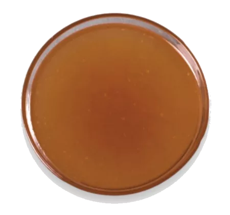 Fond de veau