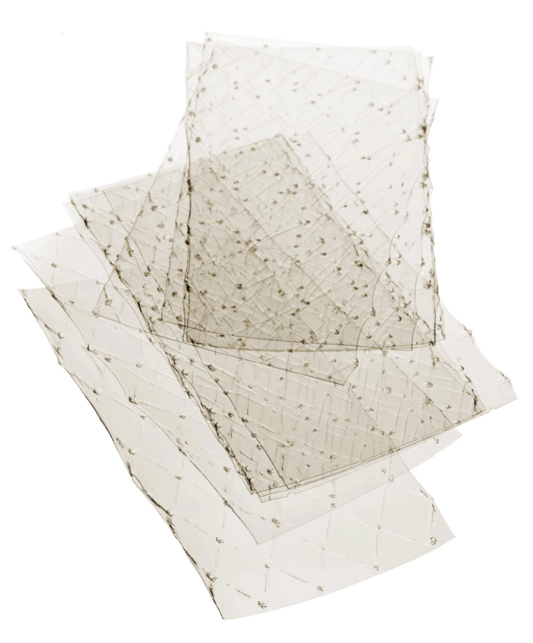 La gélatine en cuisine : origines, diététique et préparation