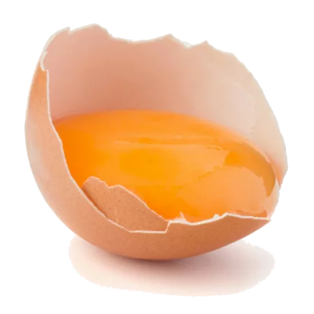 Jaune d'oeuf