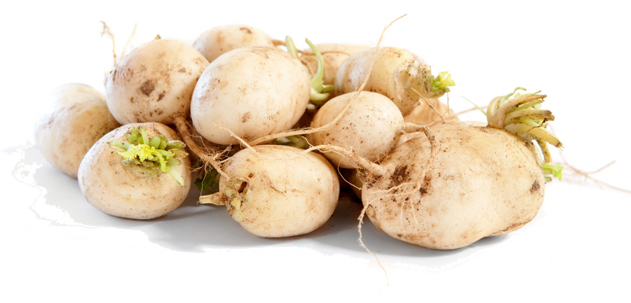 Légumes Anciens en cuisine : tout ce que vous devez savoir