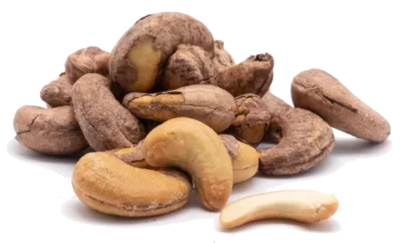 Noix de cajou