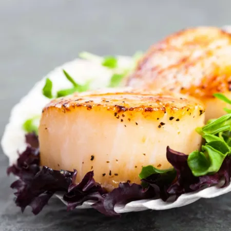 Coquilles saint Jacques