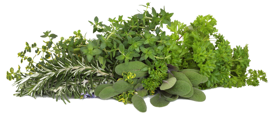 Les herbes aromatiques en cuisine : origines, diététique et préparation