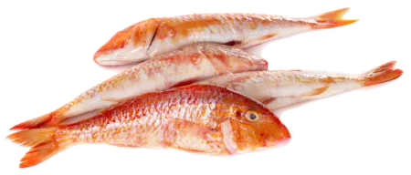 Rouget