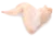 aile de poulet