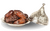 Image de Ramadan
