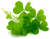 Image de Saint-Patrick