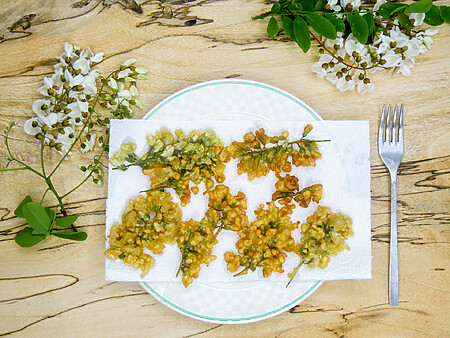 Beignets de fleurs d’acacia