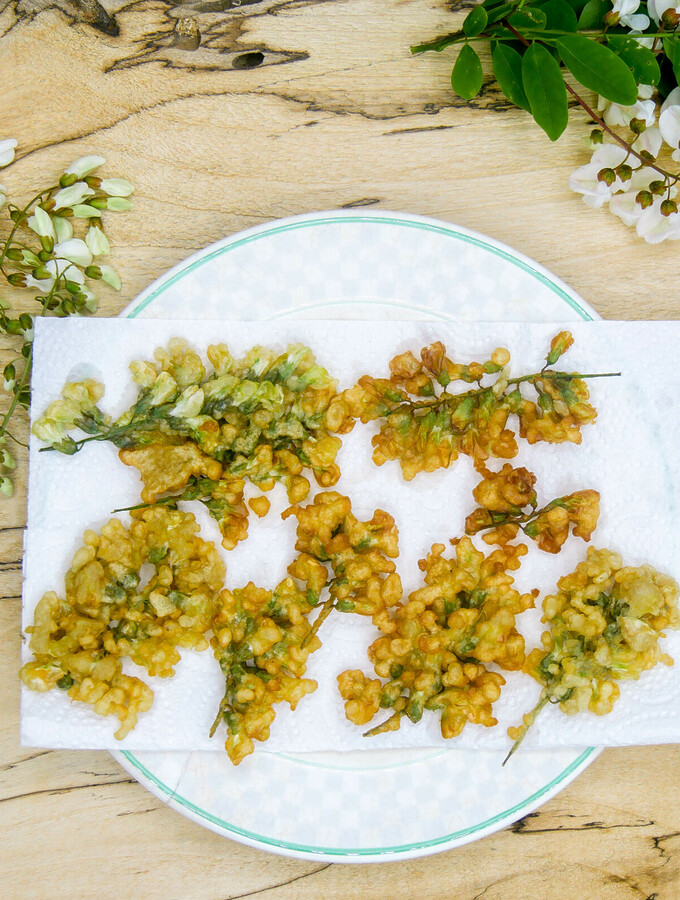 Beignets de fleurs d’acacia