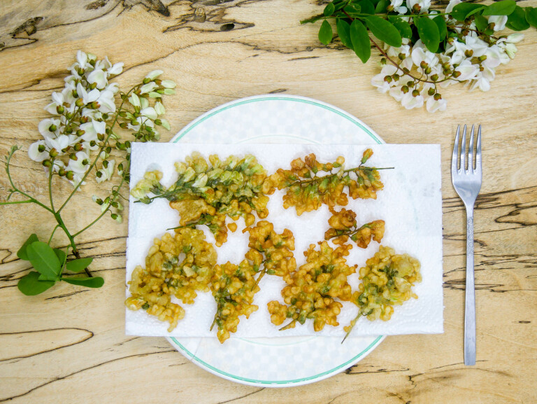 Beignets de fleurs d’acacia