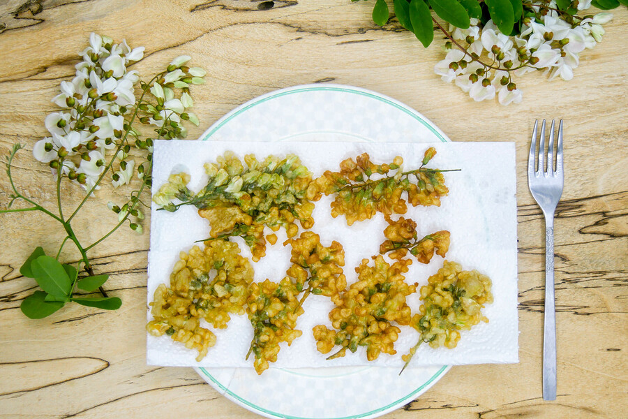 Beignets de fleurs d’acacia