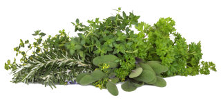 fines herbes