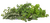 fines herbes
