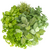 herbes fraîches