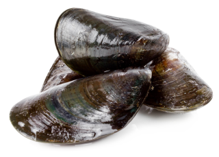 Vendée