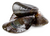 moules