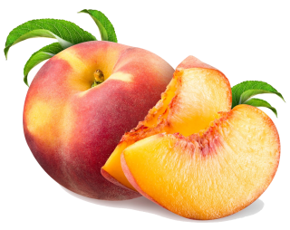 pêche