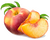 pêche