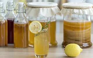 La kombucha mania : entre engouement et authenticité