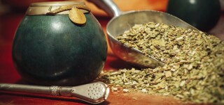 Les bienfaits du maté : énergie, digestion, concentration… mythe ou réalité ?