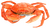 crabe