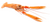 langoustine