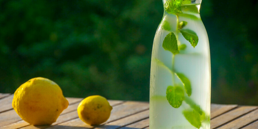 Boisson rafraîchissante citron menthe