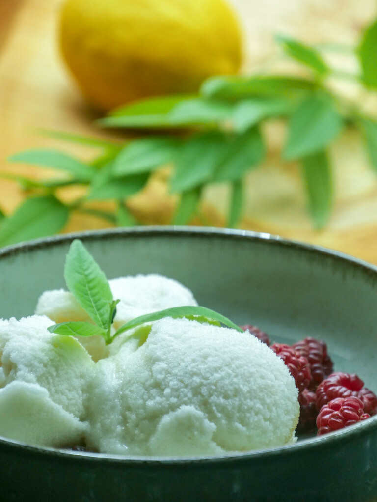 Sorbet à la verveine citronnée