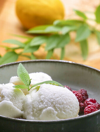 Sorbet à la verveine citronnée