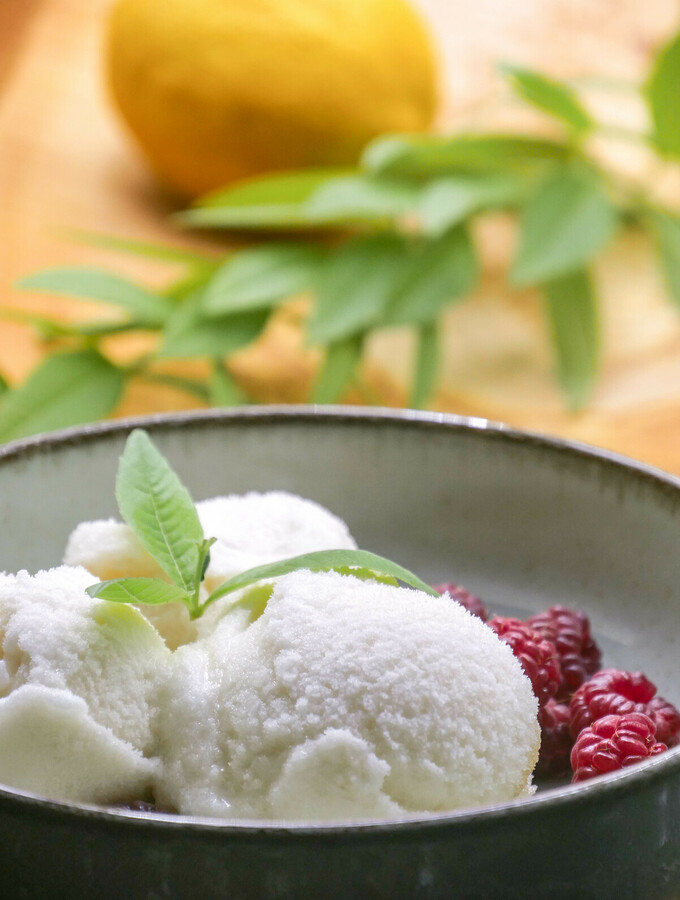 Sorbet à la verveine citronnée