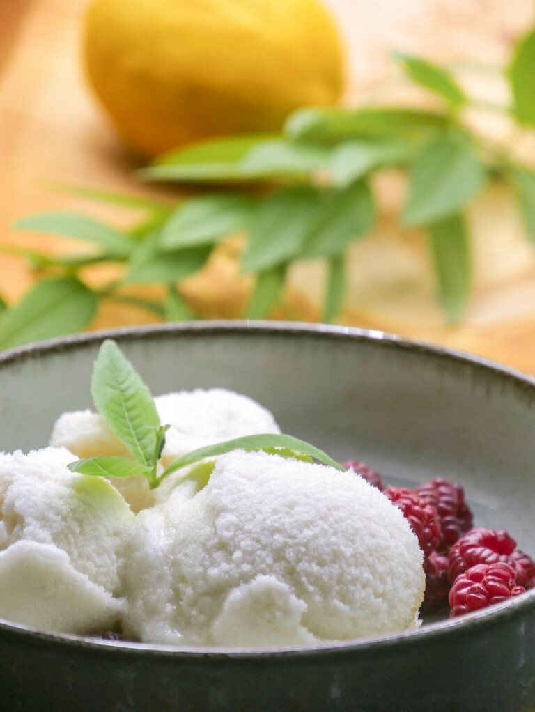 Sorbet à la verveine citronnée