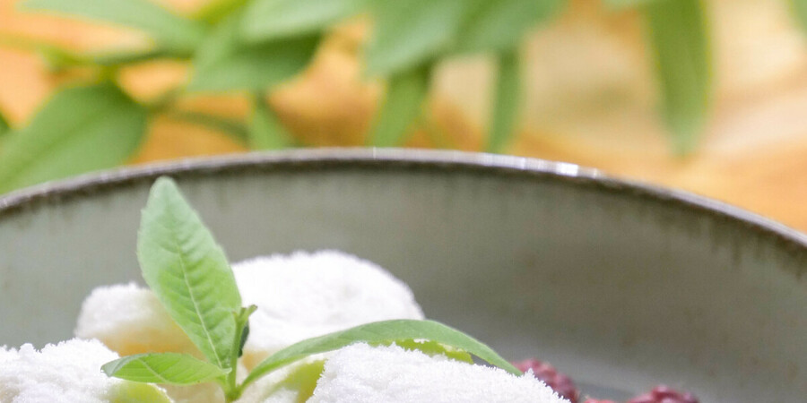 Sorbet à la verveine citronnée
