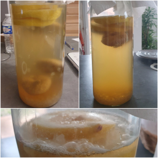 Mon kéfir d’eau et de fruits maison - Instruction 5