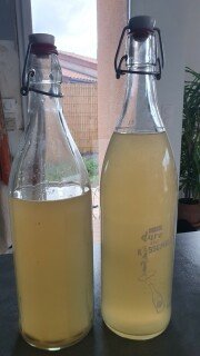 Mon kéfir d’eau et de fruits maison - Instruction 9