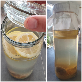 Mon kéfir d’eau et de fruits maison - Instruction 4